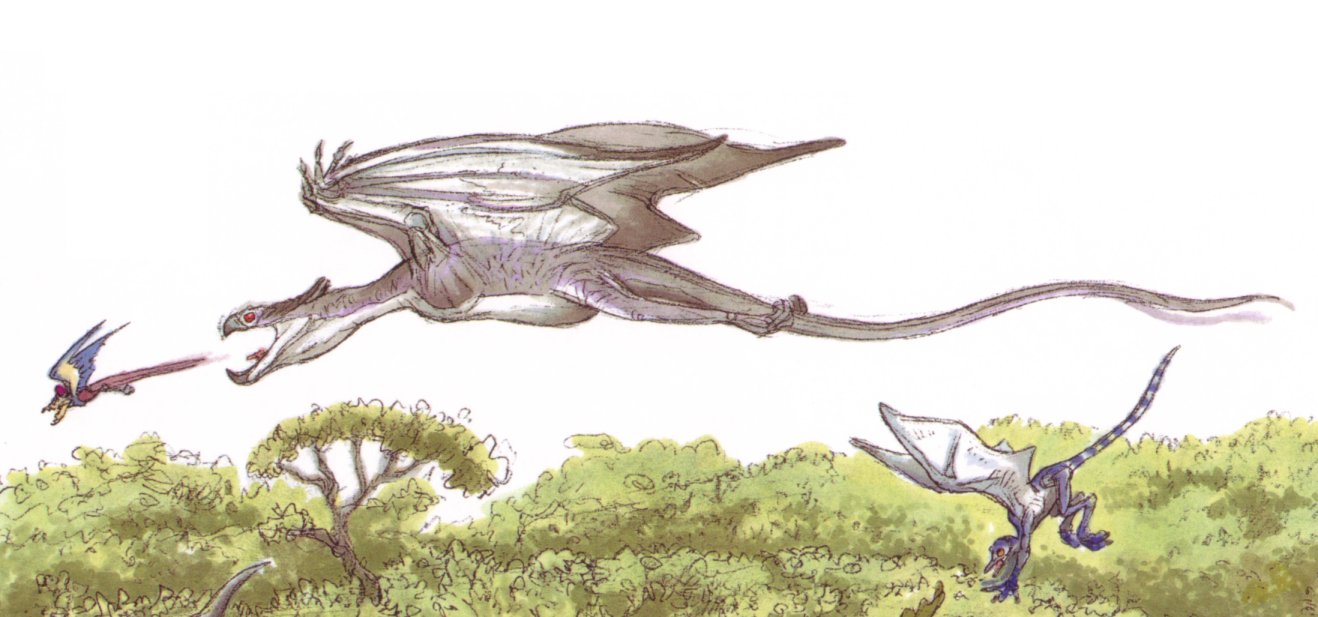 Accipiptero