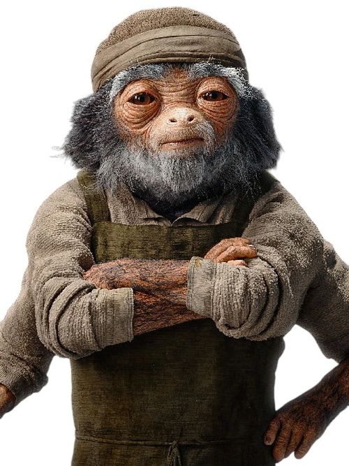 Hugo Durant (Ardennian Fry Cook)