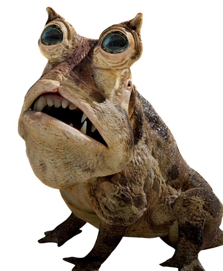 At Attin Frogdog (Pet Animal)