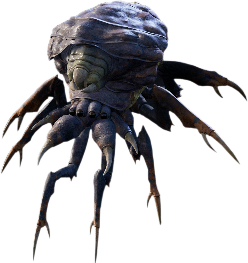 Bane Back Spider (Trainable Aracnid)