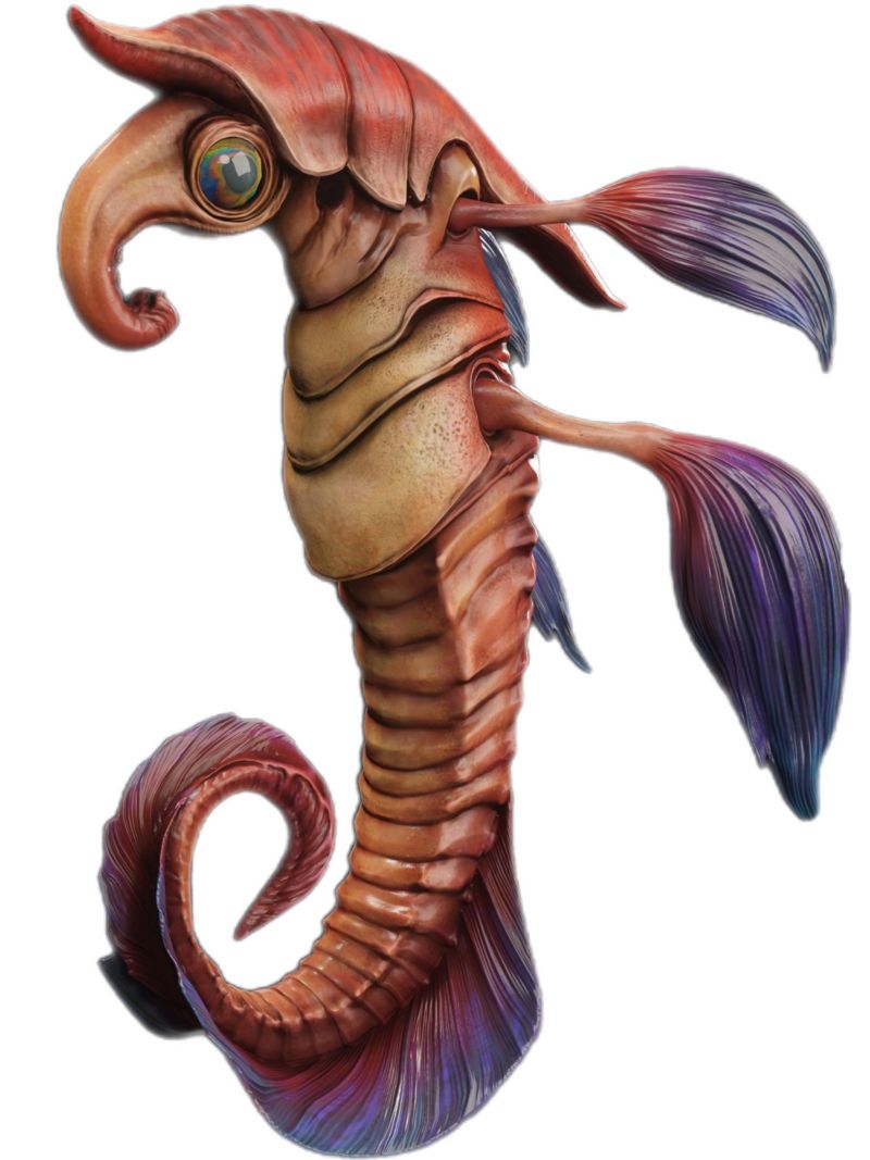 Barbed Hookfish (Carnivorous Fish)