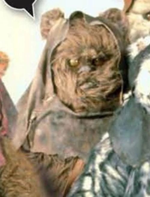 Barneeson (Ewok Warrior)