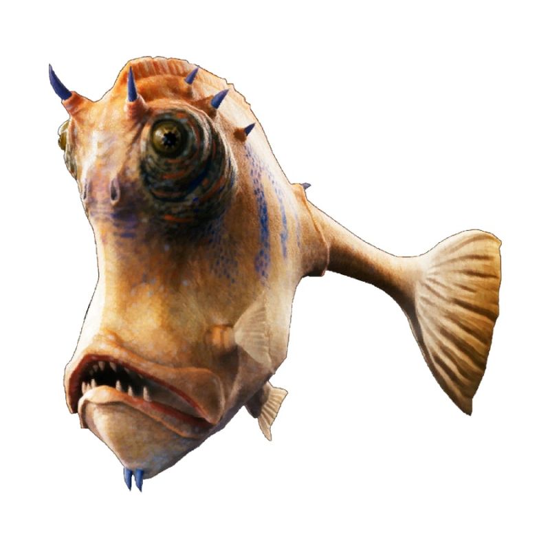 Faa (Carnivorous Fish)