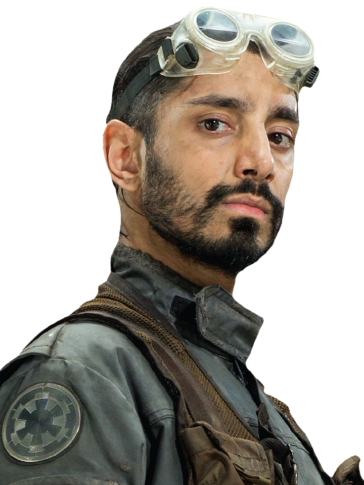Bodhi Rook