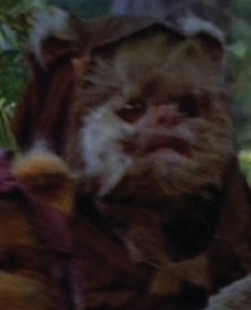 Chubbray (Ewok Warrior)