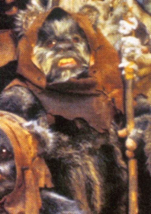 Nanta (Ewok Warrior)