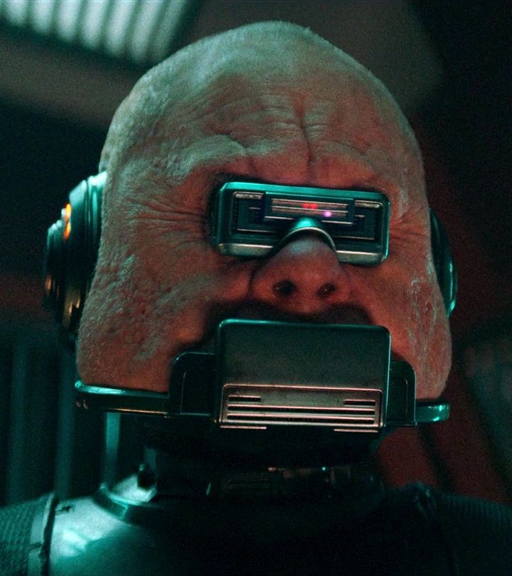 Cybernetic Convict (Humanoid Cyborg)