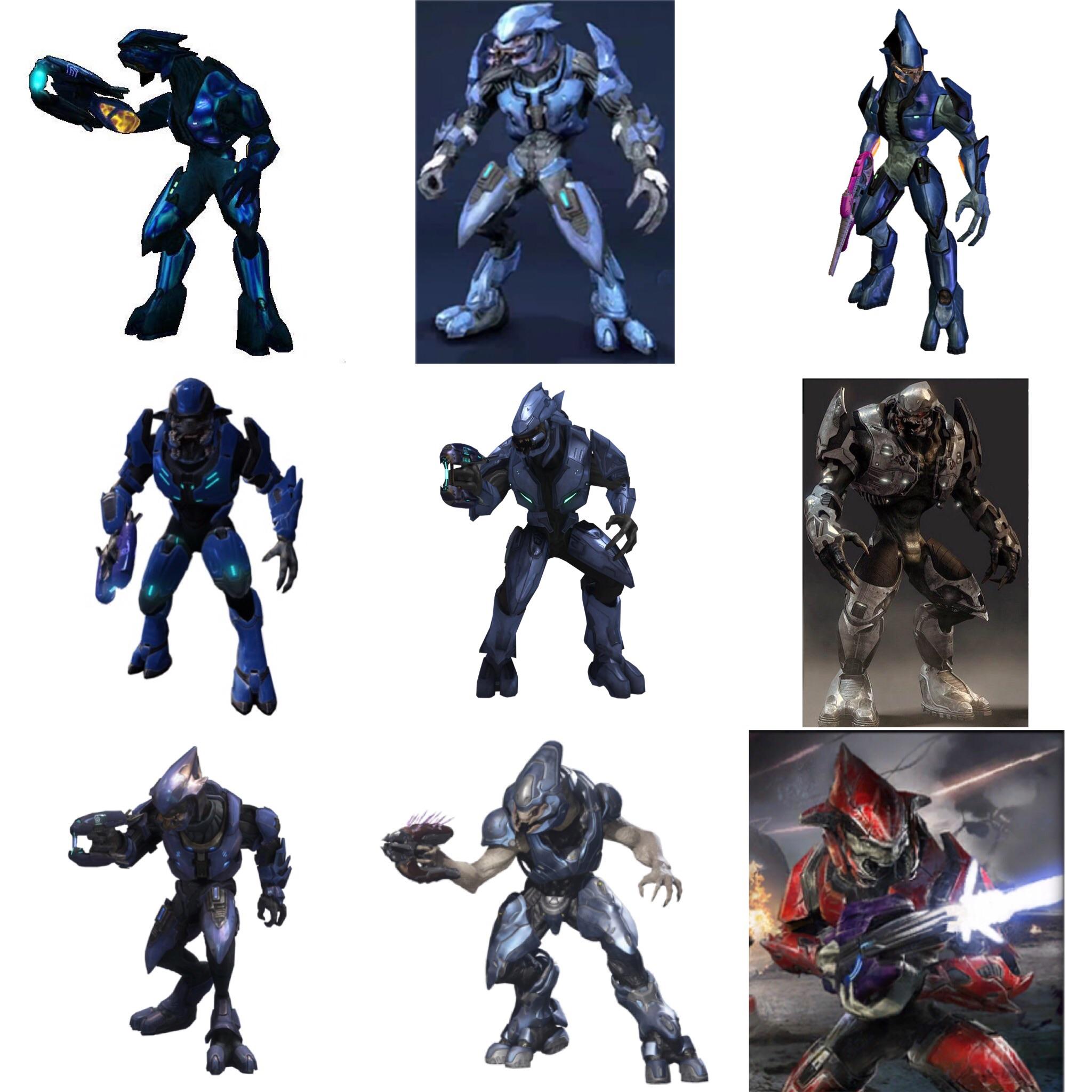 Sangheili 