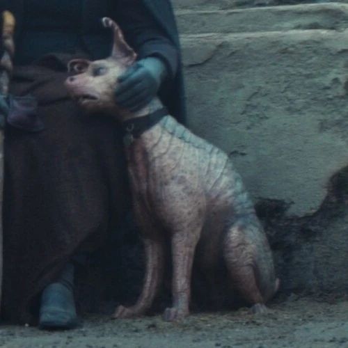 Elvis (Ghorman Hairless Dog-Like Creature)