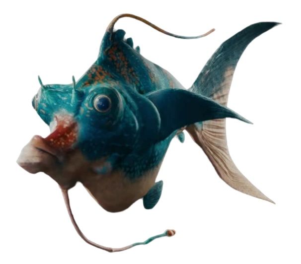 Laa (Small Fish)