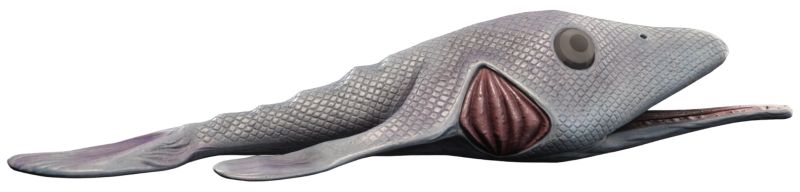 Fingerlip Garpon (Fish)