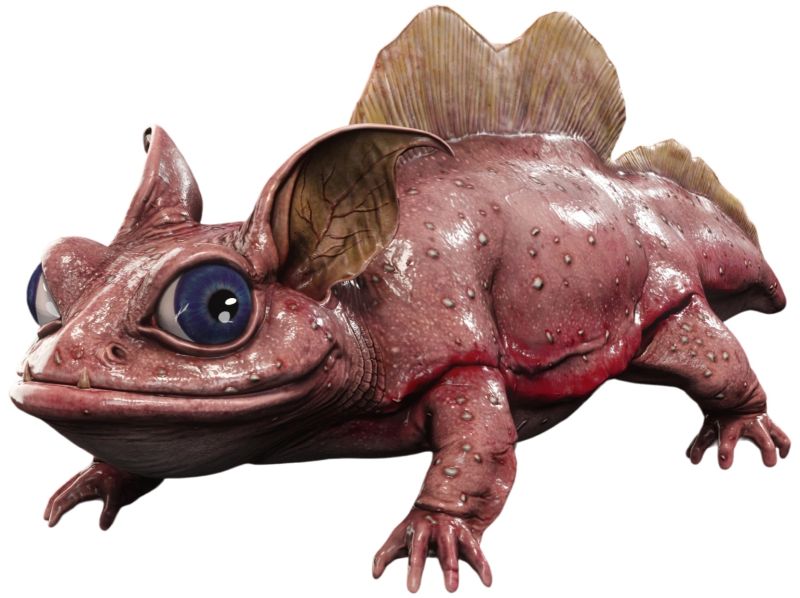 Frilled Newt (Koboh Salamander)