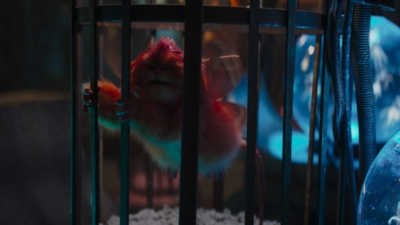 Fuzzball (Vicious Primate)