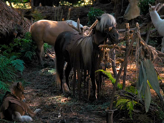 Horse
