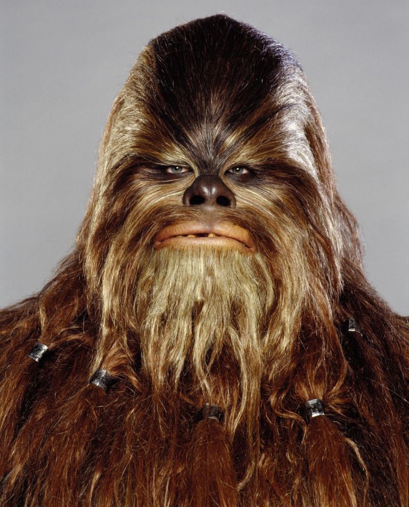 Guanta (Wookiee Soldier)