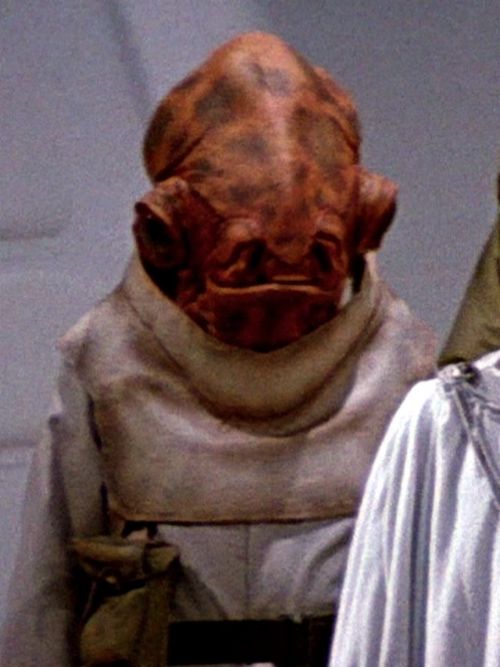 Major Haashn (Mon Calamari Rebel Officer / Engineer)