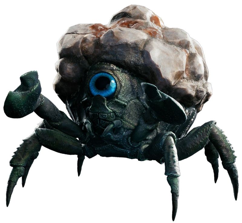 Hardshell (Jedha Crab)