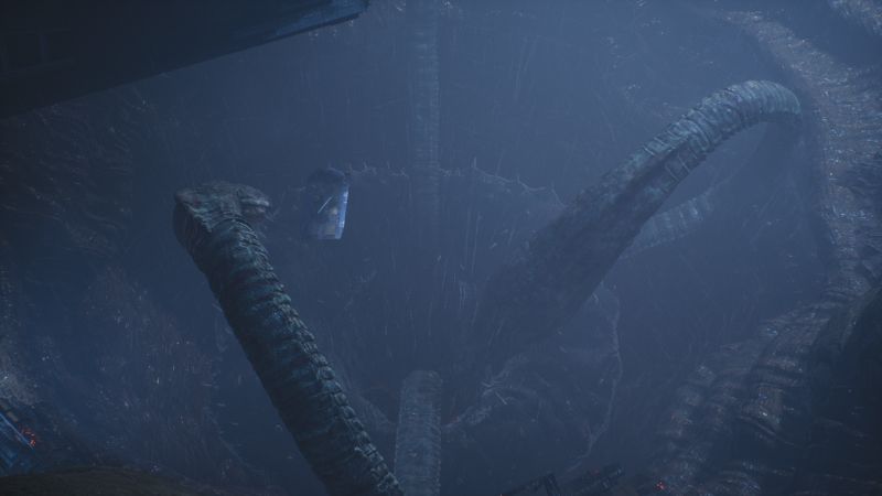Ibdis Maw