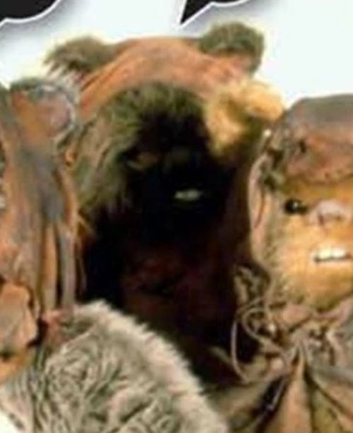 Khungata (Ewok Warrior)