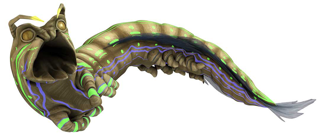 Kwazel Maw