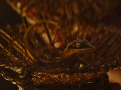 Tatooine Hallucinogenic Lizard
