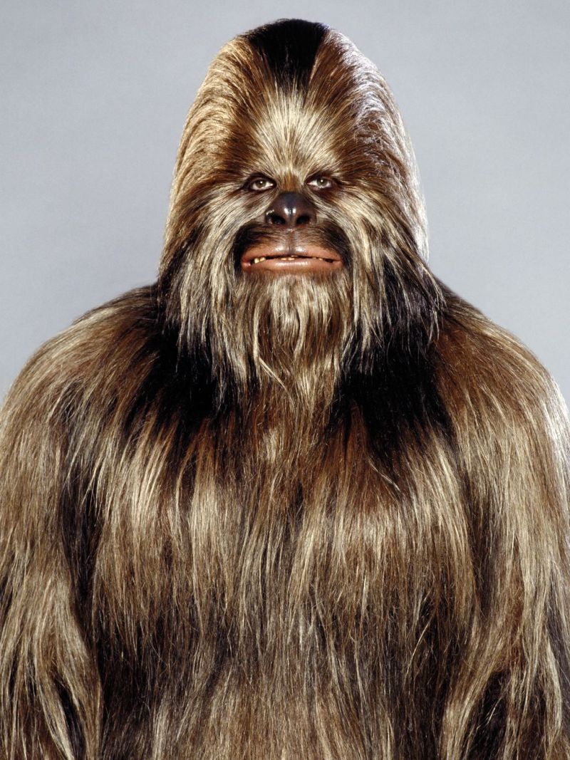 Lachichuk (Wookiee Hunter / Soldier)