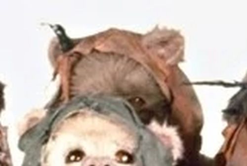 Lakotup (Ewok Scout)
