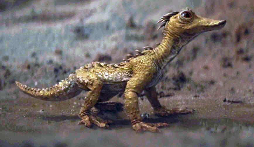 Arvala-7 Lizard Creature