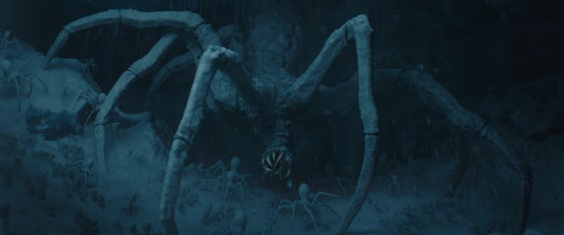 Ice spider