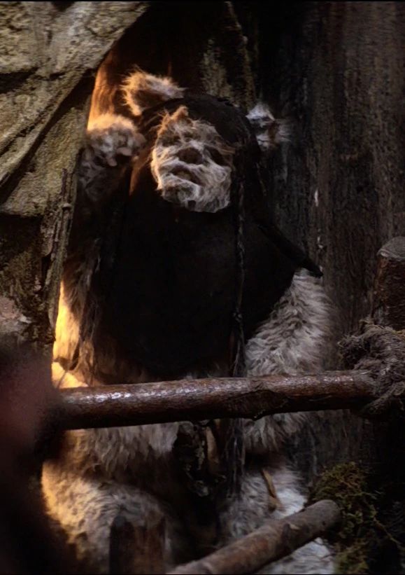 Zephee (Ewok Mother)