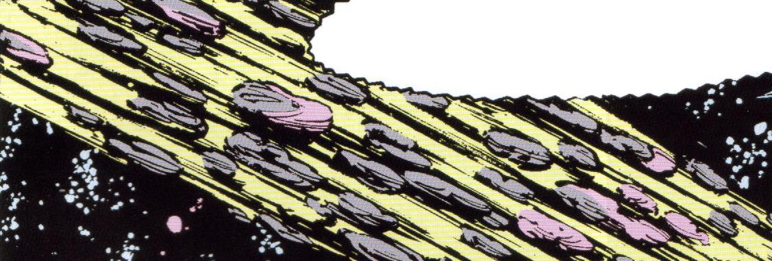 Merson asteroid belt