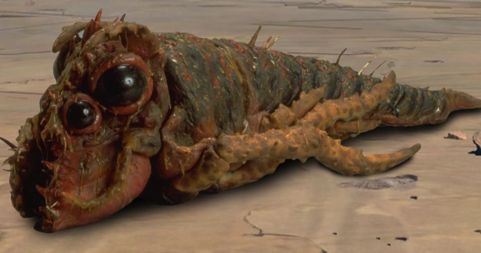 Rock wart (venomous parasite)
