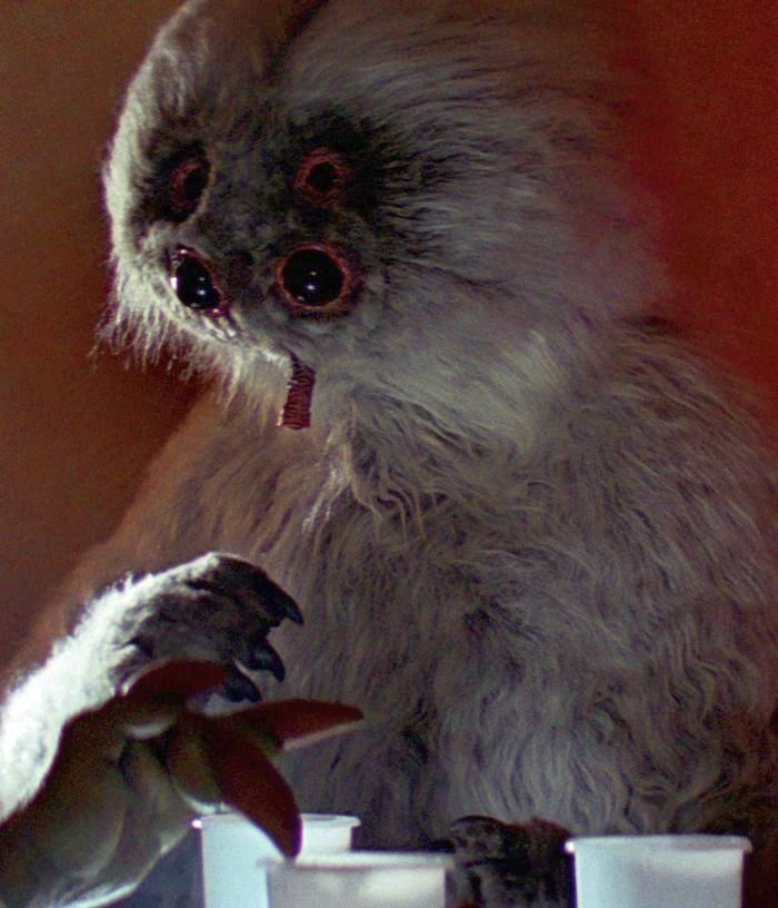 Muftak (Talz Thief)