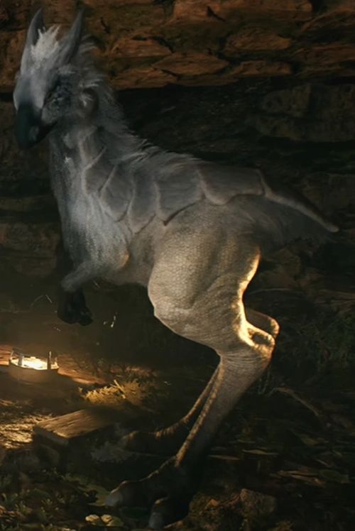 Nekko (Ground Based Riding Bird)