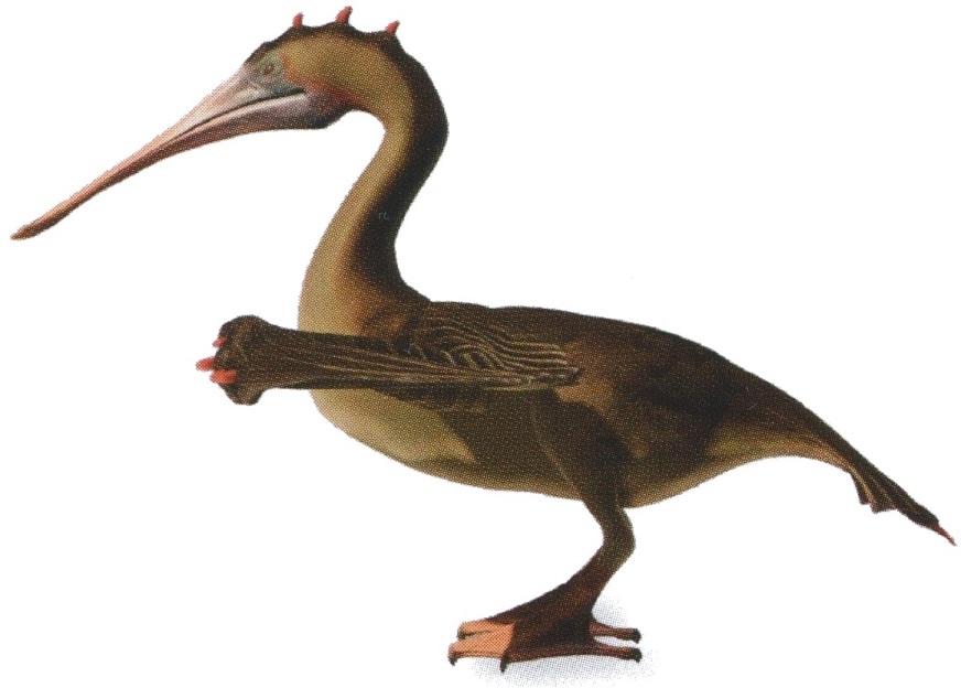 Pelikki
