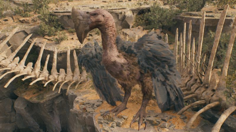 Piasa (Large Bird)