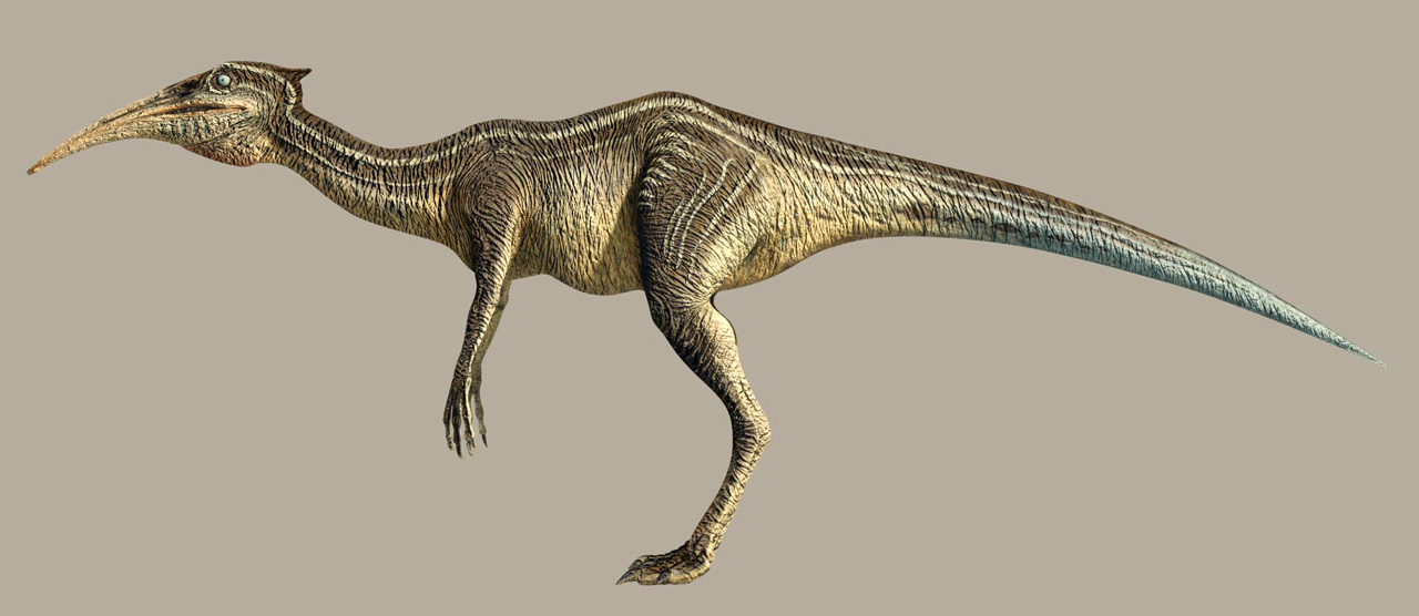 Pikobi (flightless reptavian)