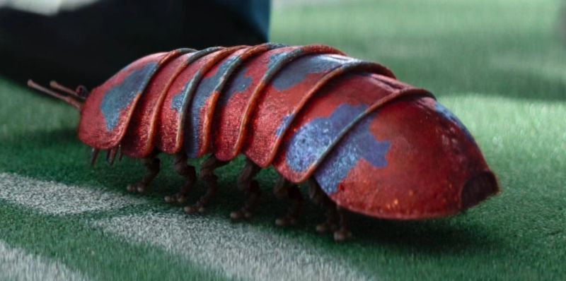 Pill bug