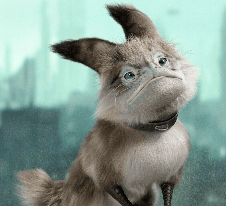 Pix (Tooka Pet)