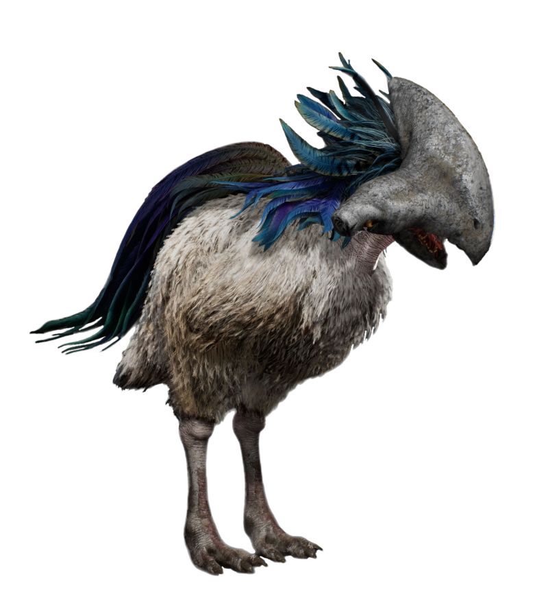 Rawka (Aggressive Bird)