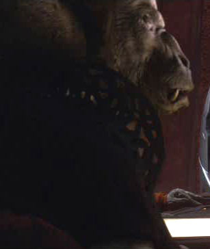 Rogwa Wodrata (Holwuff Representative)