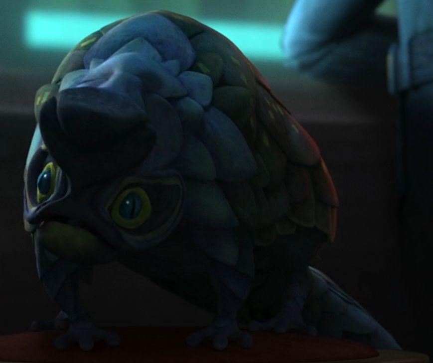 Ruby (lizard pet)