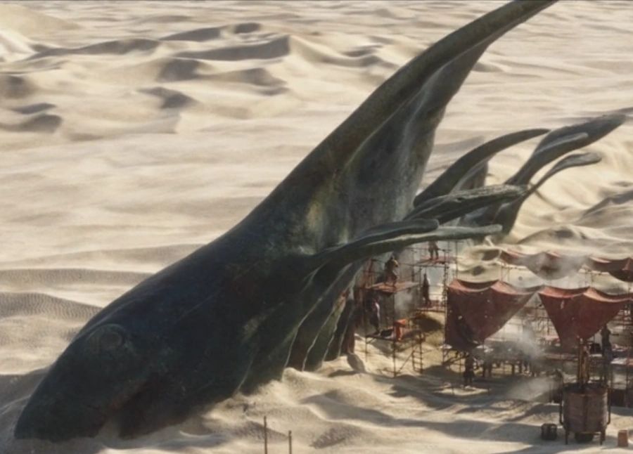 Sand Whale