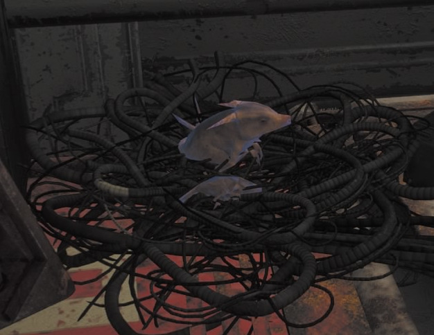 Scrap rat