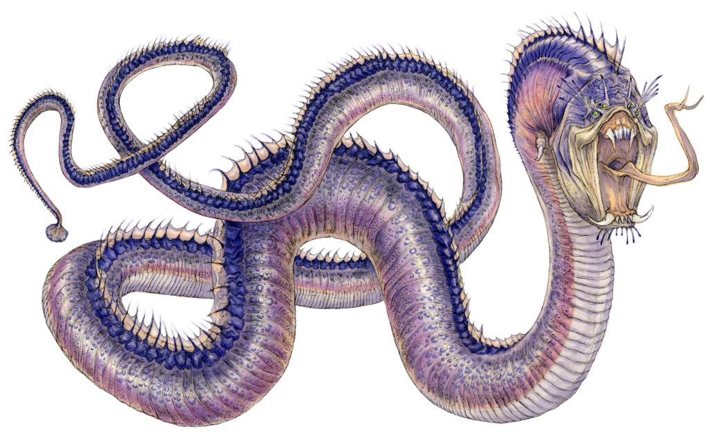 Sith wyrm