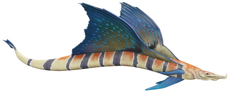 Snakefish (Aquatic Snake)