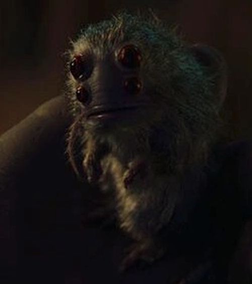 Snowball (Bilge Rat)
