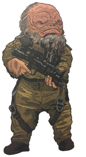 Talpini