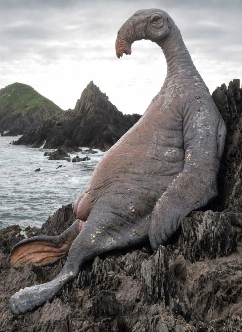 Thala-siren (Pinniped Amphibian)