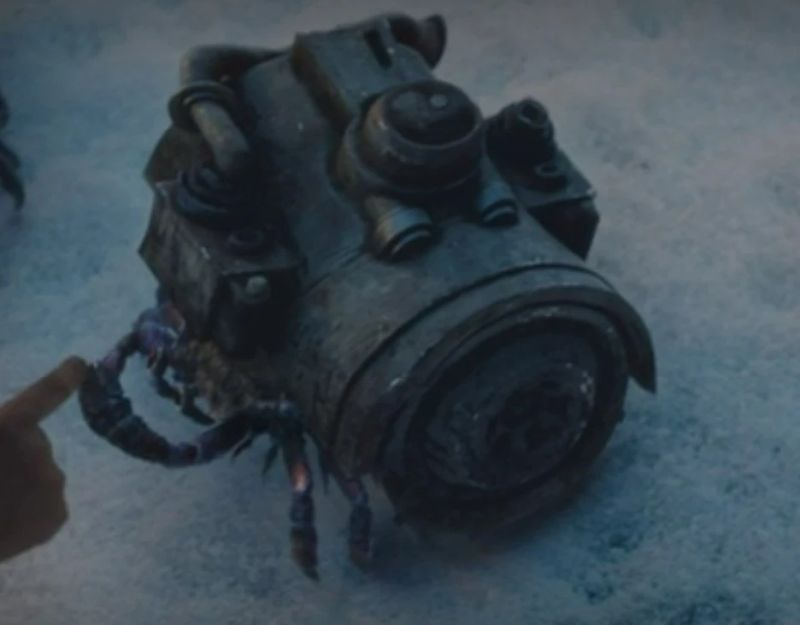 Trash Crab (Crustacean) Trash Crab (Crustacean)